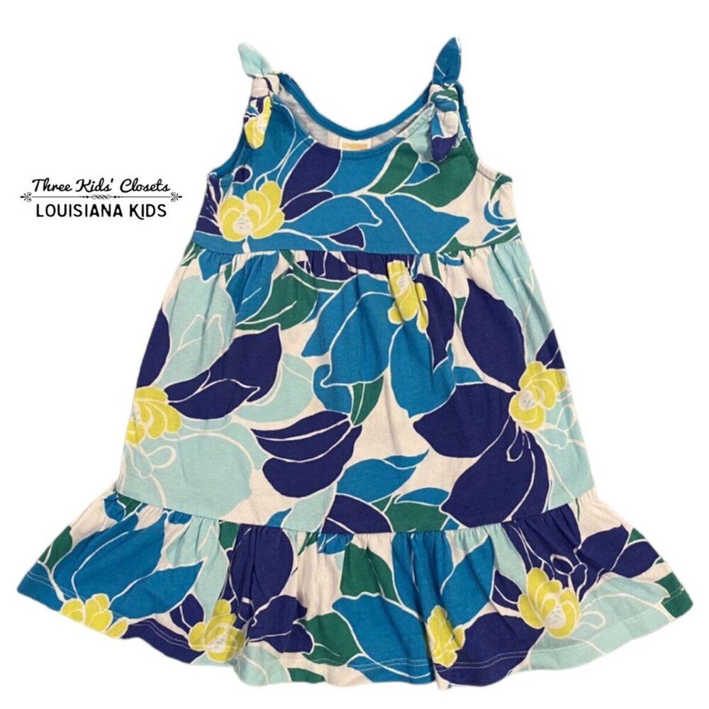 Gymboree 12-18m Blue Tropical Floral Print Dress